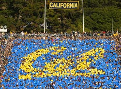 California Card Stunt