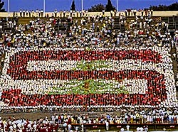 Stanford Card Stunt