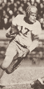 Steve Van Buren, LSU