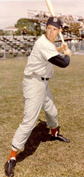 Ted Williams, Boston Red Sox